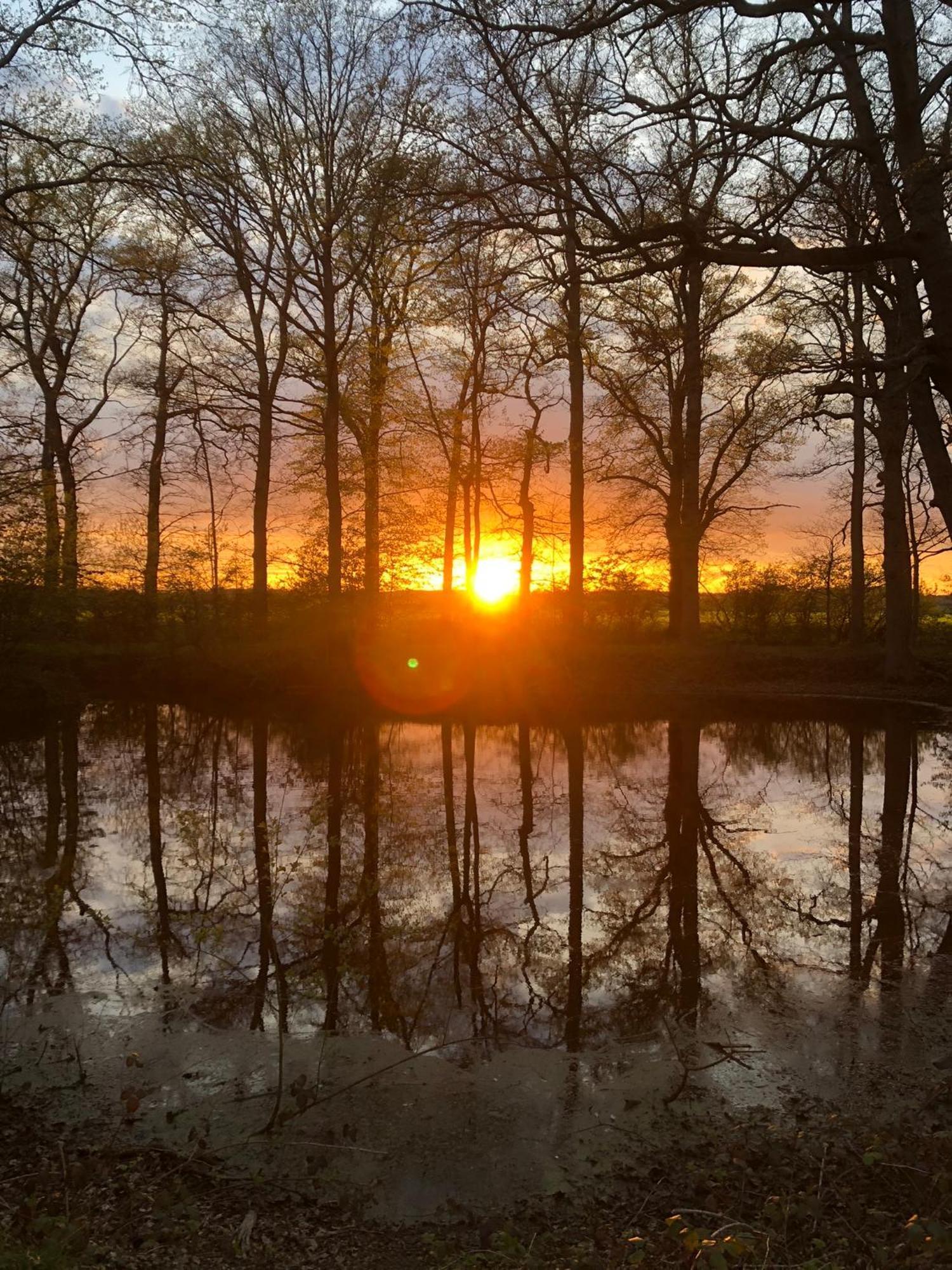 Rouge Maison Bois-Normand-près-Lyre Exteriér fotografie